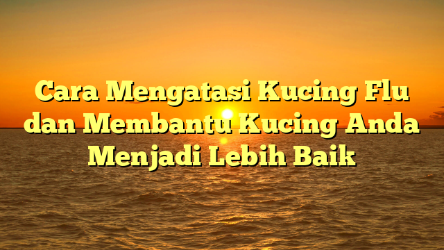 Cara Mengatasi Kucing Flu dan Membantu Kucing Anda Menjadi Lebih Baik