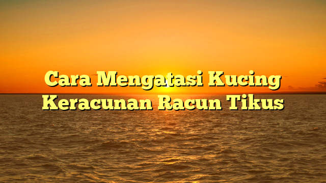 Cara Mengatasi Kucing Keracunan Racun Tikus