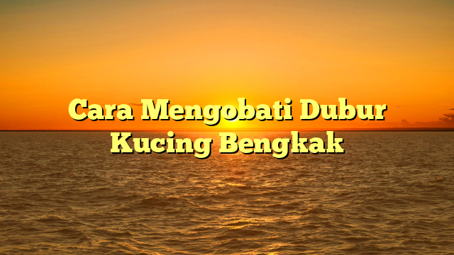 Cara Mengobati Dubur Kucing Bengkak