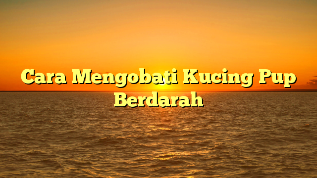 Cara Mengobati Kucing Pup Berdarah