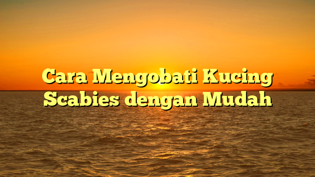 Cara Mengobati Kucing Scabies dengan Mudah