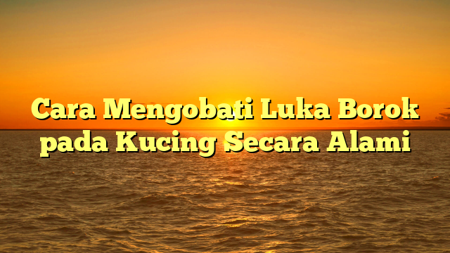 Cara Mengobati Luka Borok pada Kucing Secara Alami