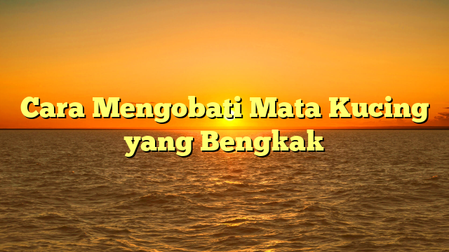 Cara Mengobati Mata Kucing yang Bengkak