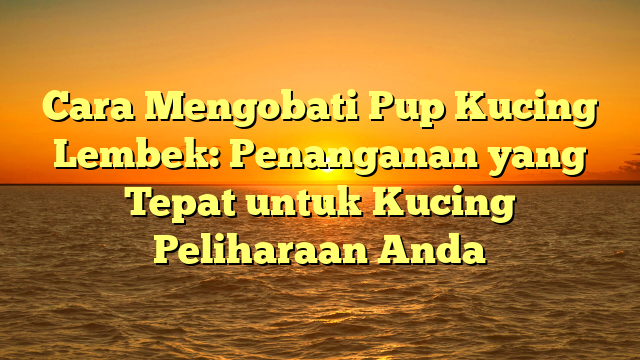 Cara Mengobati Pup Kucing Lembek: Penanganan yang Tepat untuk Kucing Peliharaan Anda