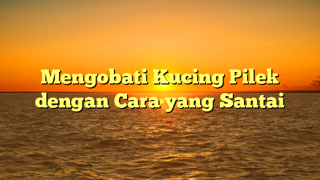 Mengobati Kucing Pilek dengan Cara yang Santai