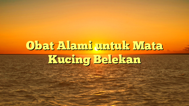 Obat Alami untuk Mata Kucing Belekan