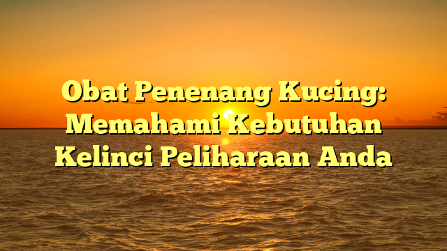 Obat Penenang Kucing: Memahami Kebutuhan Kelinci Peliharaan Anda