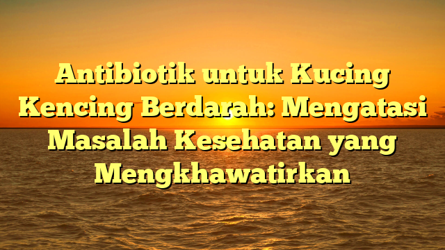 Antibiotik untuk Kucing Kencing Berdarah: Mengatasi Masalah Kesehatan yang Mengkhawatirkan