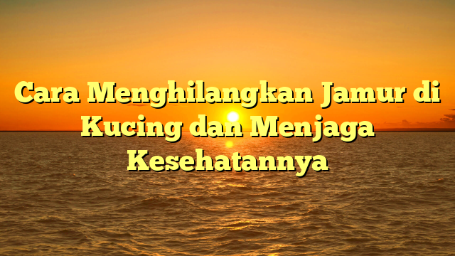 Cara Menghilangkan Jamur di Kucing dan Menjaga Kesehatannya