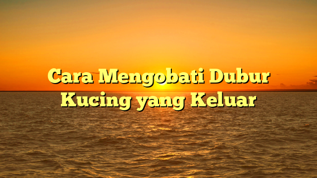 Cara Mengobati Dubur Kucing yang Keluar