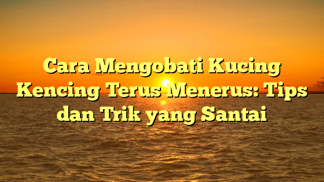 Cara Mengobati Kucing Kencing Terus Menerus: Tips dan Trik yang Santai