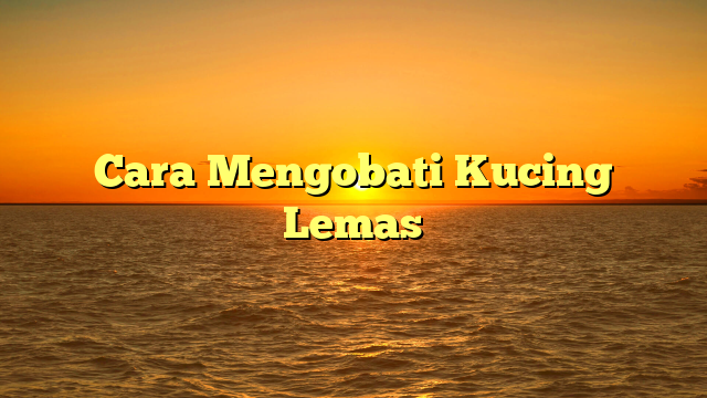 Cara Mengobati Kucing Lemas