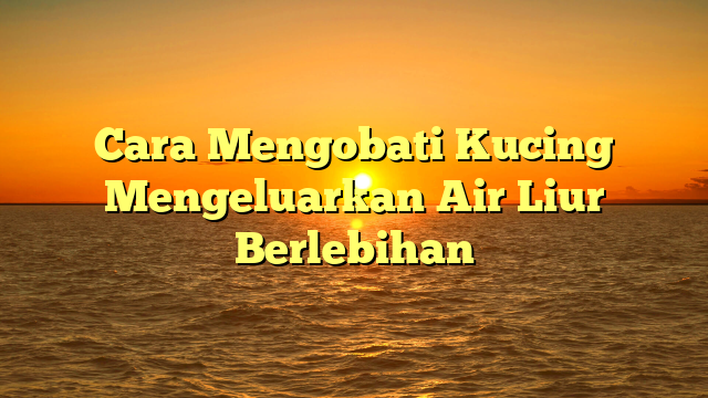 Cara Mengobati Kucing Mengeluarkan Air Liur Berlebihan