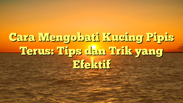 Cara Mengobati Kucing Pipis Terus: Tips dan Trik yang Efektif