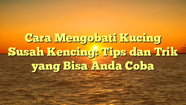 Cara Mengobati Kucing Susah Kencing: Tips dan Trik yang Bisa Anda Coba