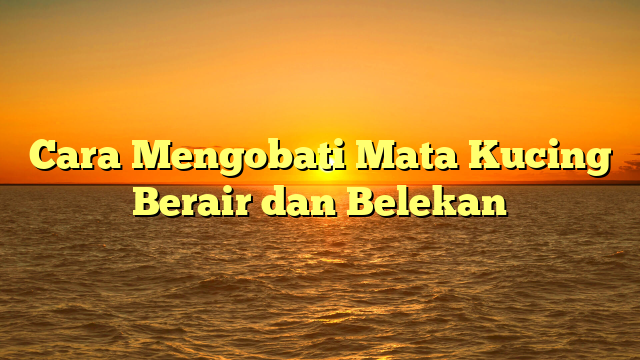 Cara Mengobati Mata Kucing Berair dan Belekan