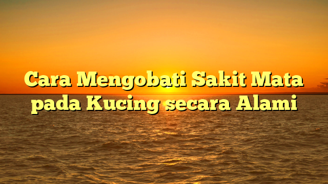 Cara Mengobati Sakit Mata pada Kucing secara Alami