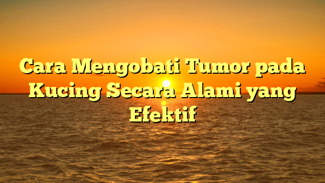 Cara Mengobati Tumor pada Kucing Secara Alami yang Efektif