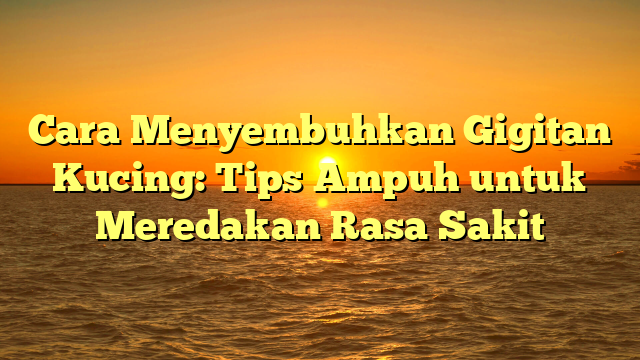 Cara Menyembuhkan Gigitan Kucing: Tips Ampuh untuk Meredakan Rasa Sakit