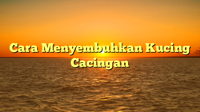 Cara Menyembuhkan Kucing Cacingan