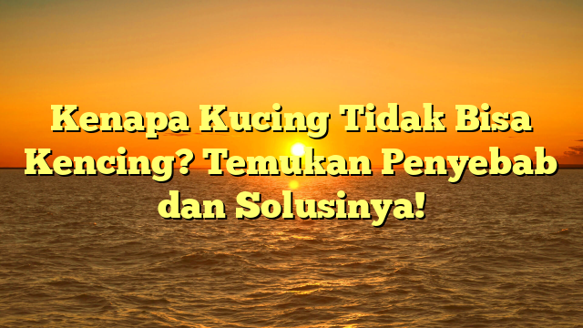 Kenapa Kucing Tidak Bisa Kencing? Temukan Penyebab dan Solusinya!