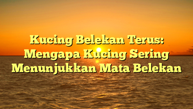 Kucing Belekan Terus: Mengapa Kucing Sering Menunjukkan Mata Belekan