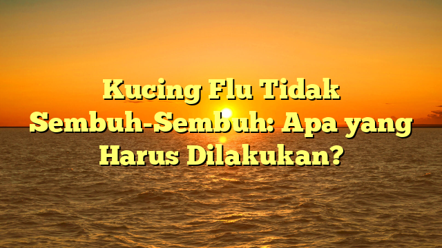 Kucing Flu Tidak Sembuh-Sembuh: Apa yang Harus Dilakukan?