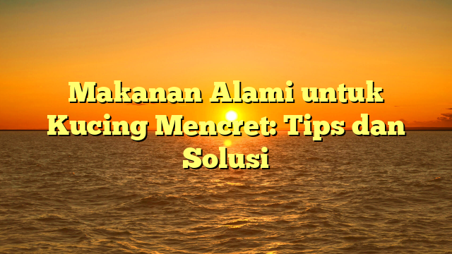 Makanan Alami untuk Kucing Mencret: Tips dan Solusi