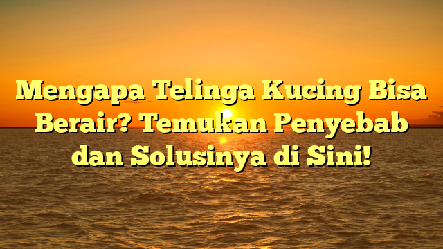 Mengapa Telinga Kucing Bisa Berair? Temukan Penyebab dan Solusinya di Sini!