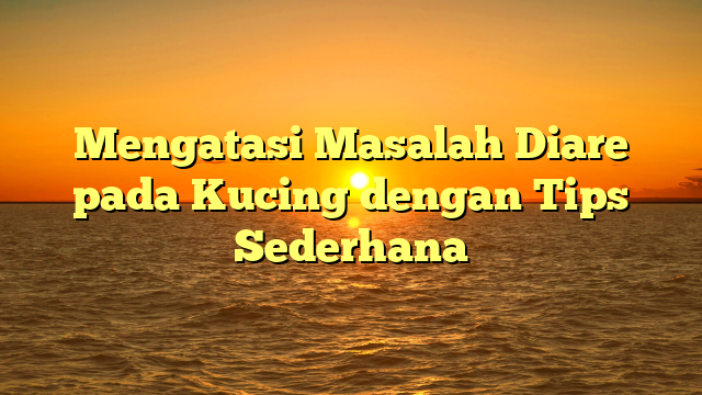 Mengatasi Masalah Diare pada Kucing dengan Tips Sederhana