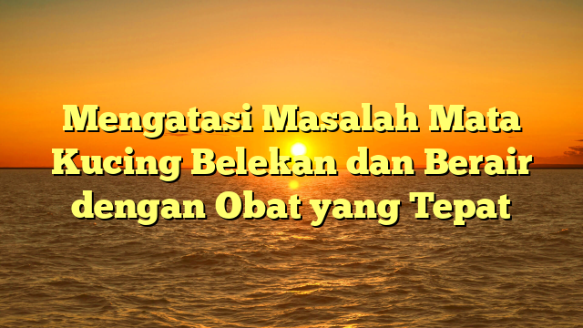 Mengatasi Masalah Mata Kucing Belekan dan Berair dengan Obat yang Tepat