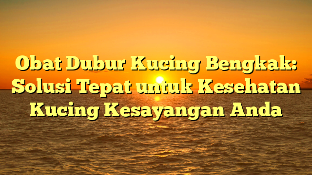 Obat Dubur Kucing Bengkak: Solusi Tepat untuk Kesehatan Kucing Kesayangan Anda