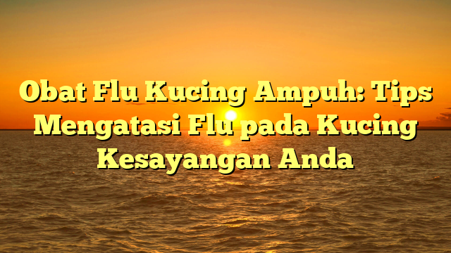 Obat Flu Kucing Ampuh: Tips Mengatasi Flu pada Kucing Kesayangan Anda