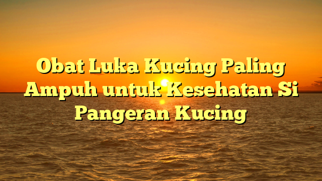 Obat Luka Kucing Paling Ampuh untuk Kesehatan Si Pangeran Kucing