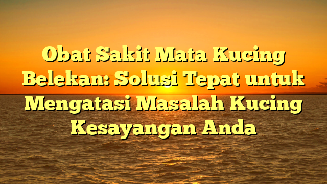 Obat Sakit Mata Kucing Belekan: Solusi Tepat untuk Mengatasi Masalah Kucing Kesayangan Anda