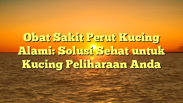 Obat Sakit Perut Kucing Alami: Solusi Sehat untuk Kucing Peliharaan Anda