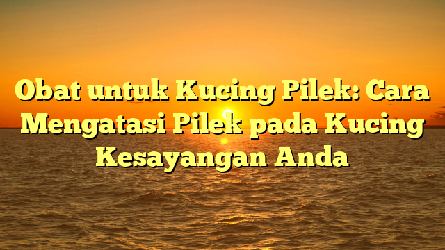 Obat untuk Kucing Pilek: Cara Mengatasi Pilek pada Kucing Kesayangan Anda