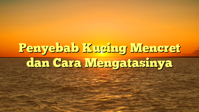 Penyebab Kucing Mencret dan Cara Mengatasinya