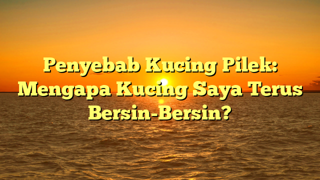 Penyebab Kucing Pilek: Mengapa Kucing Saya Terus Bersin-Bersin?