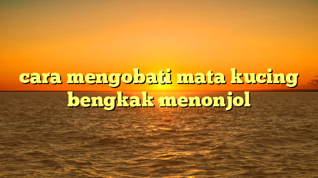 cara mengobati mata kucing bengkak menonjol