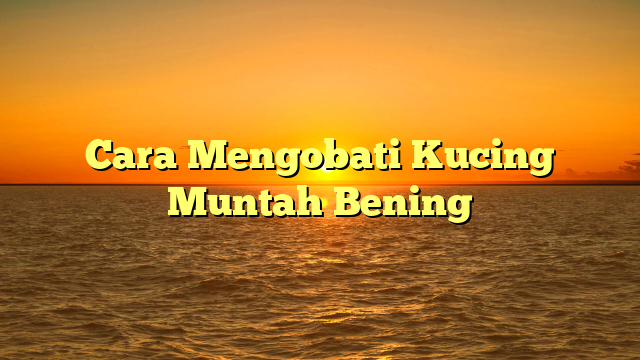 Cara Mengobati Kucing Muntah Bening