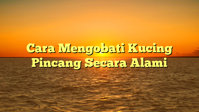 Cara Mengobati Kucing Pincang Secara Alami