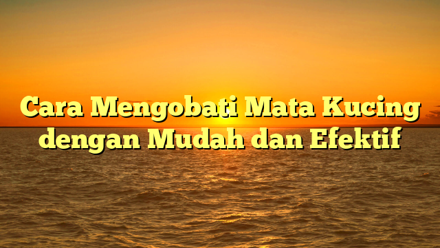 Cara Mengobati Mata Kucing dengan Mudah dan Efektif