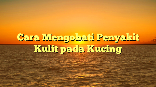 Cara Mengobati Penyakit Kulit pada Kucing