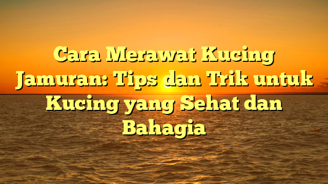 Cara Merawat Kucing Jamuran: Tips dan Trik untuk Kucing yang Sehat dan Bahagia