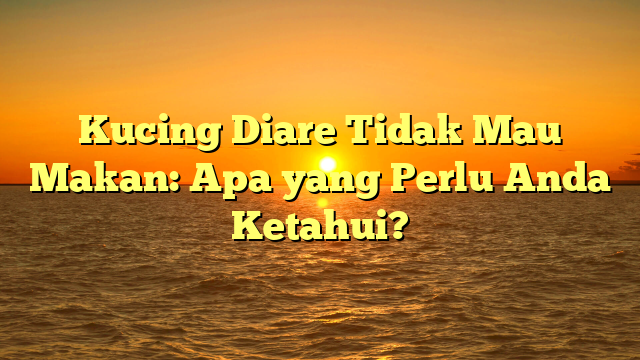 Kucing Diare Tidak Mau Makan: Apa yang Perlu Anda Ketahui?