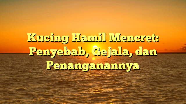 Kucing Hamil Mencret: Penyebab, Gejala, dan Penanganannya