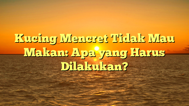 Kucing Mencret Tidak Mau Makan: Apa yang Harus Dilakukan?