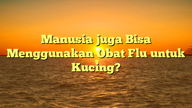 Manusia juga Bisa Menggunakan Obat Flu untuk Kucing?