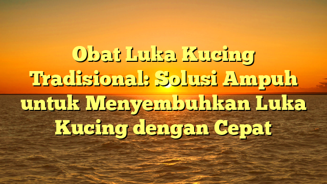 Obat Luka Kucing Tradisional: Solusi Ampuh untuk Menyembuhkan Luka Kucing dengan Cepat